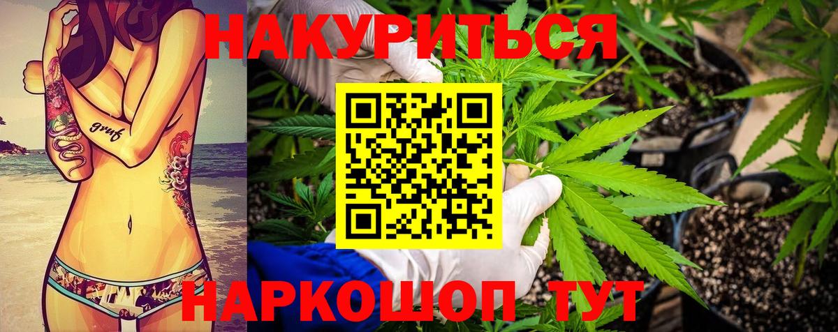 Торжок  Канабис OG Kush  Конопля план  Вход с VPN  Бошки марихуана MAZAR 